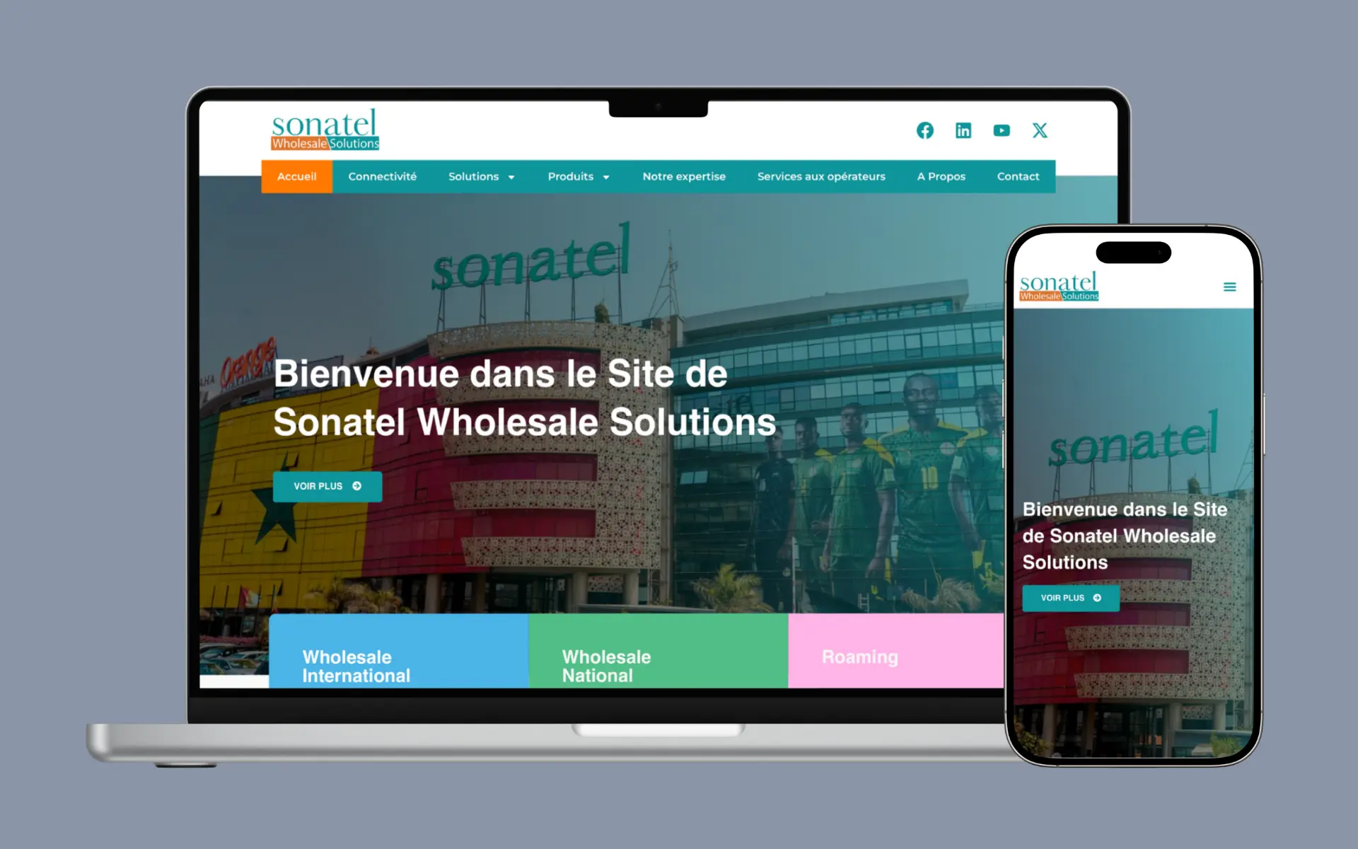 sonatel-wholesale